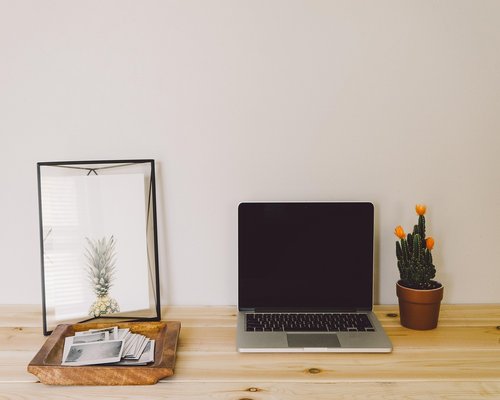 Home office setup near a window with side lighting and plants